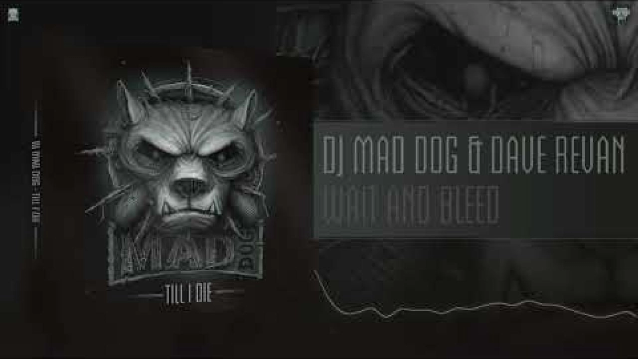 DJ Mad Dog ft. Dave Revan - Wait and Bleed